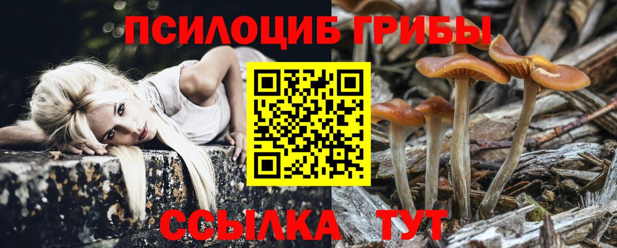 Галлюциногенные грибы ЛСД  Вход с VPN  Озёры  Галлюциногенные грибы мицелий 